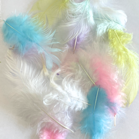 Loisirs créatif -  plumes marabout - Mélange arc en ciel - 10g (≈ 100p) / dimension variable
