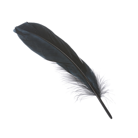 Loisirs créatif -  plumes d'oie - Noir -  8 pièces