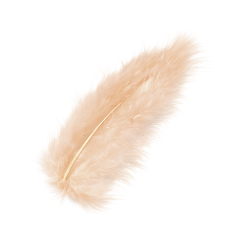 Loisirs créatif -  plumes marabout - Abricot  - 15 pièces